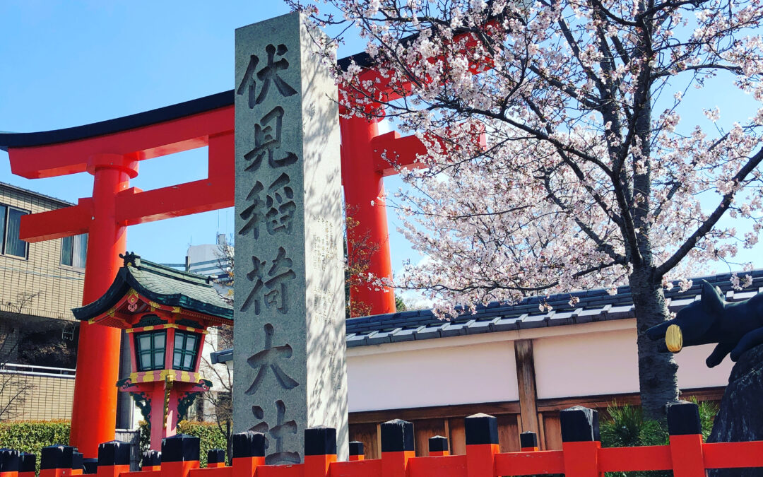 京都めぐり旅～春を古都京都で堪能してみよう！～