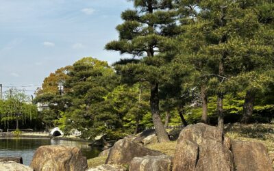 徳川園で散歩をしながら春を楽しもう！