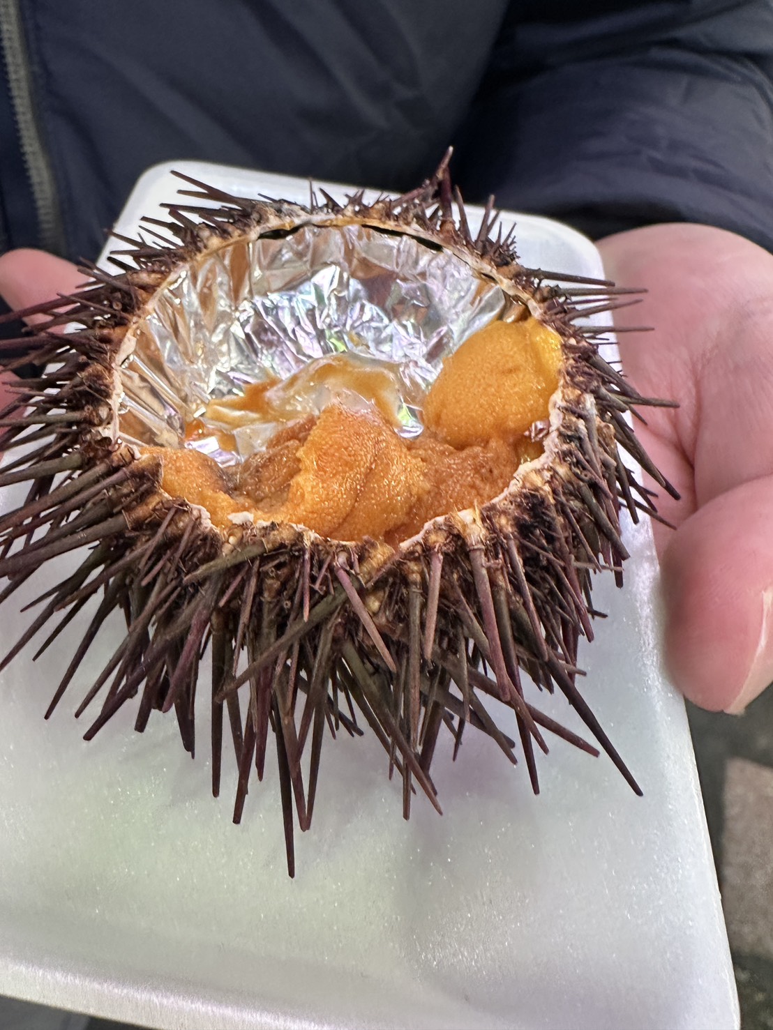 ウニ_近江町市場